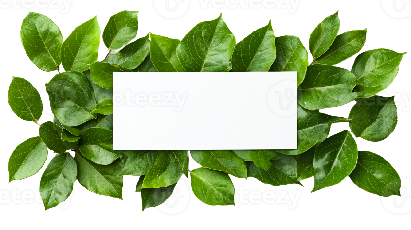 White card on green leaves background for text, greeting card, cut out transparent png