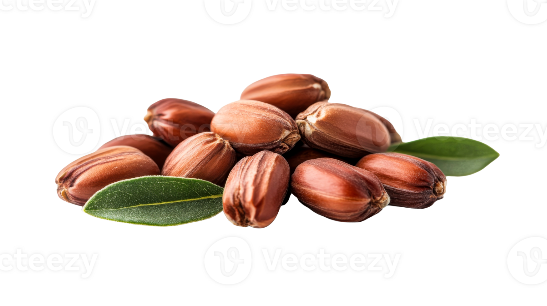 Heap of jojoba beans with green leaves, cut out transparent png