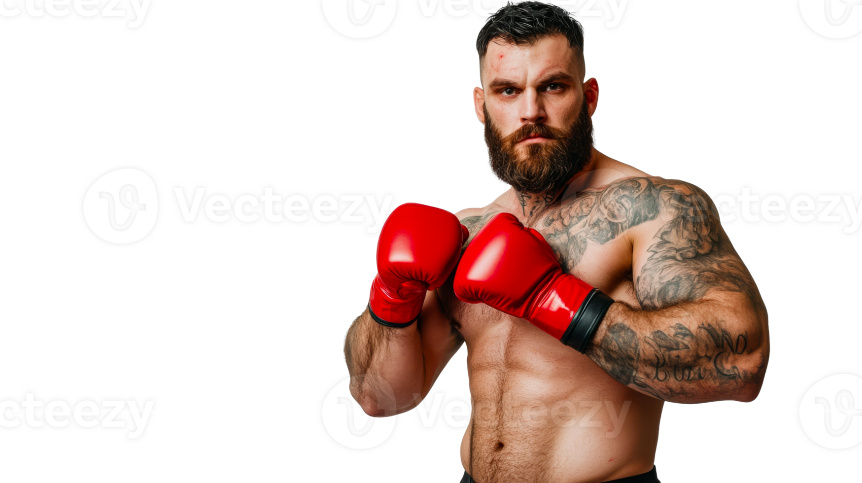 Muscular boxer, gloves, bearded man, tattoos, on black background, cut out transparent png