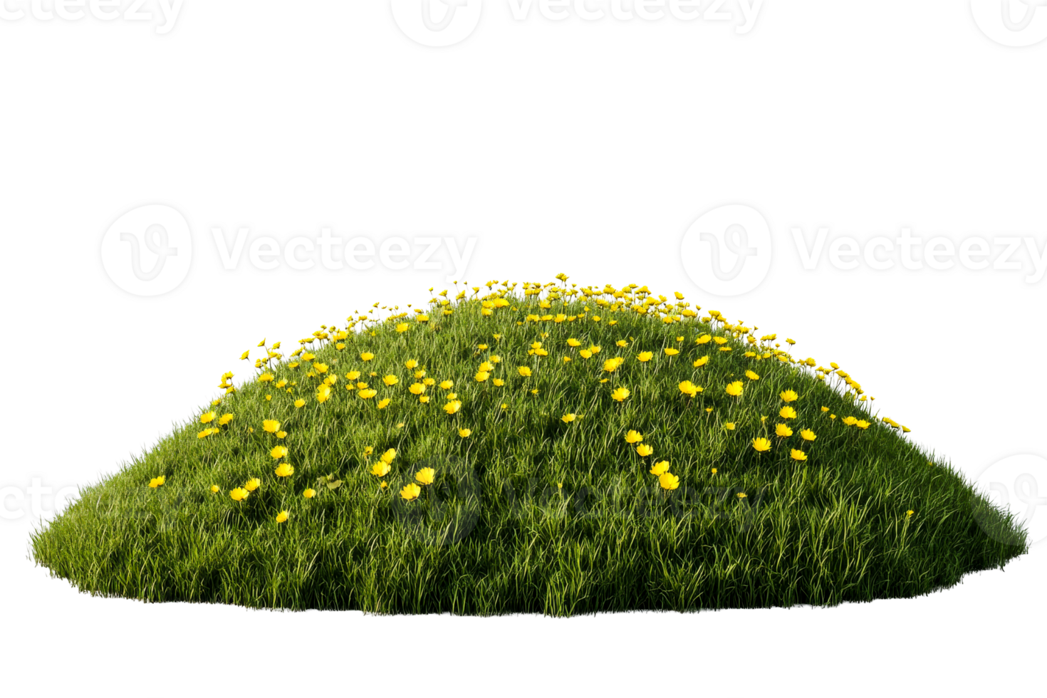 Grassy hillock with yellow wildflowers, meadow vegetation, cut out transparent png