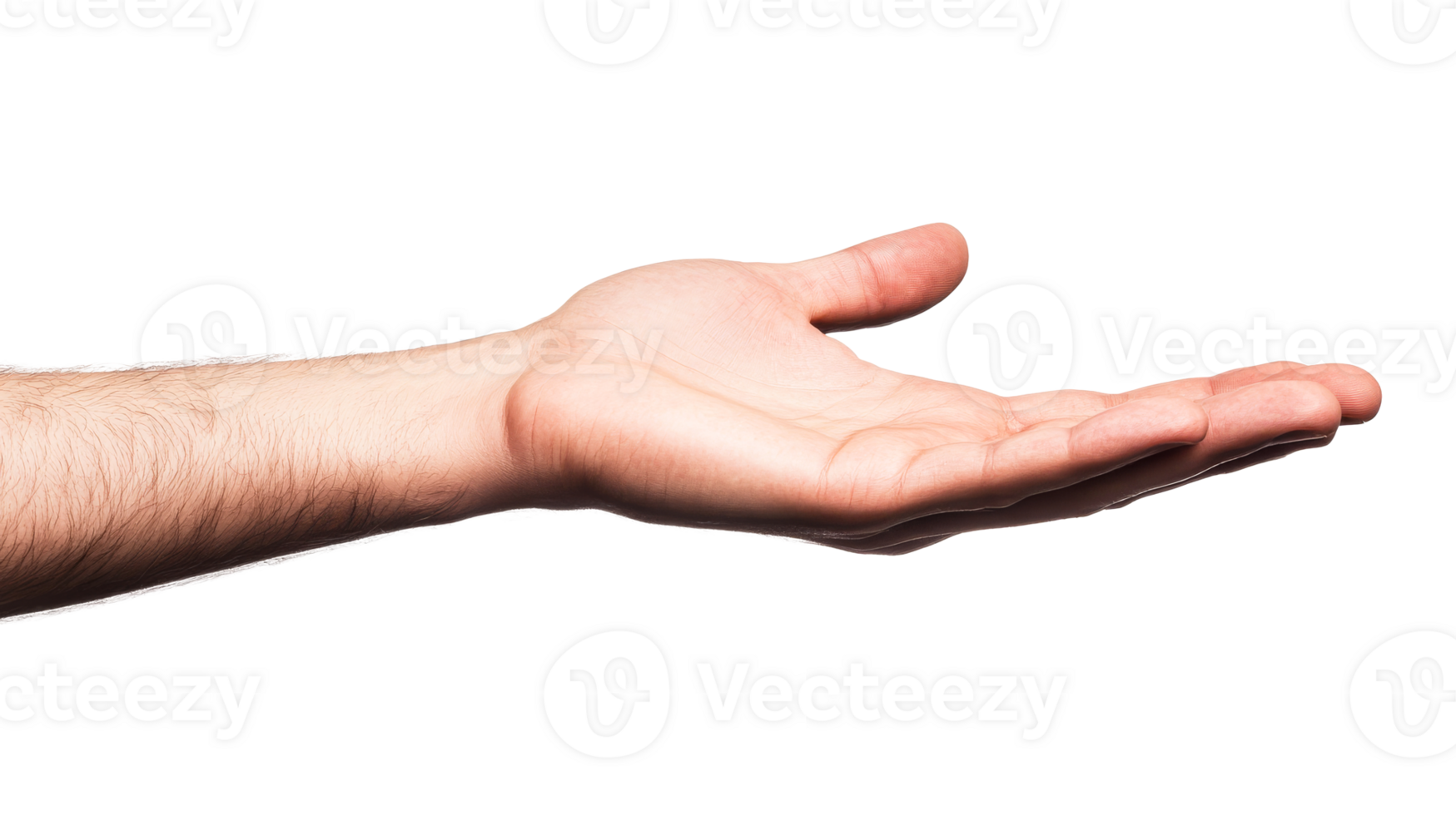 Open outstretched palm of a fair-skinned man's hand, cut out transparent png