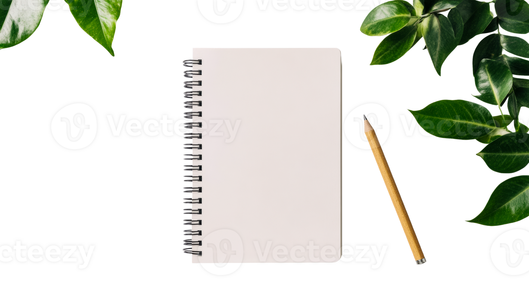 Open notebook with pencil and green leaves on black, cut out transparent png
