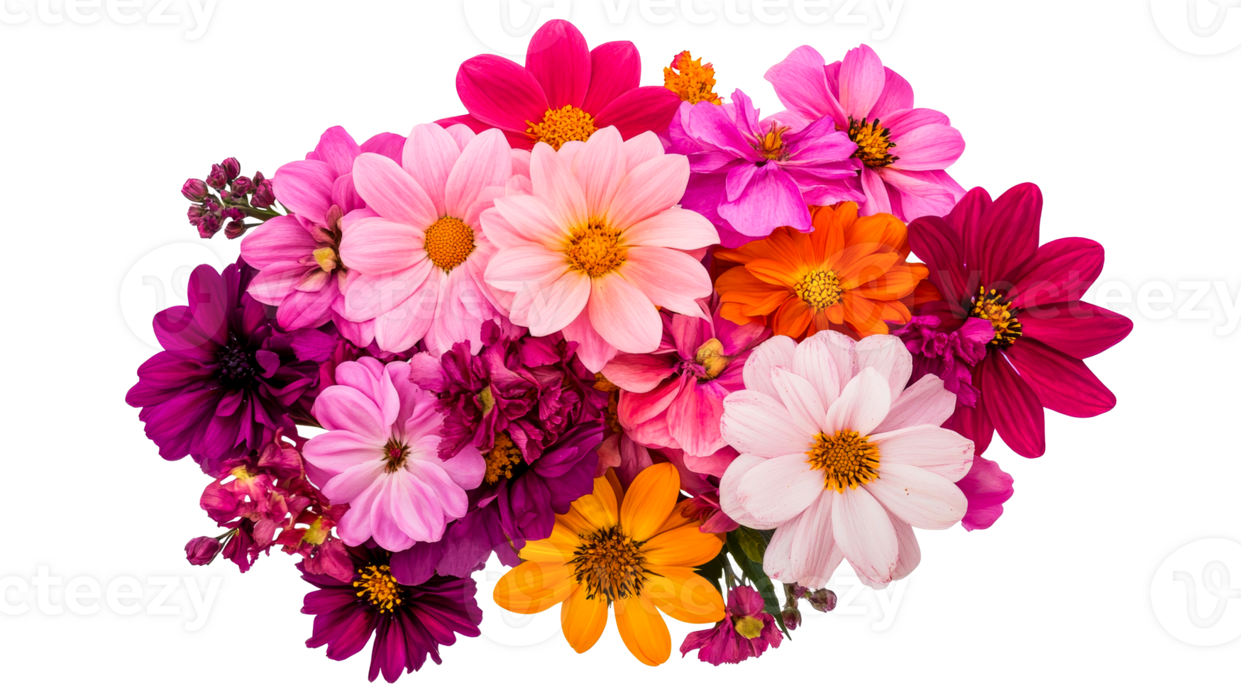 Colorful dahlias bouquet on black backdrop, cut out transparent png