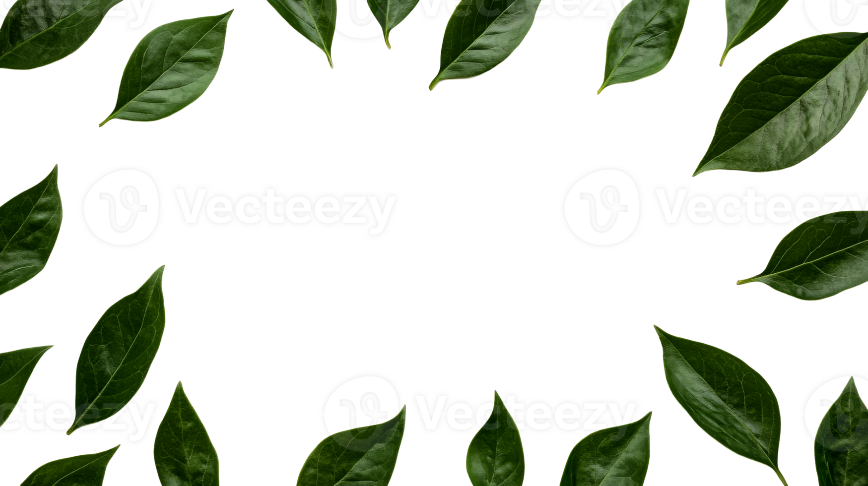 Green leaves border frame, isolated on black background, cut out transparent png
