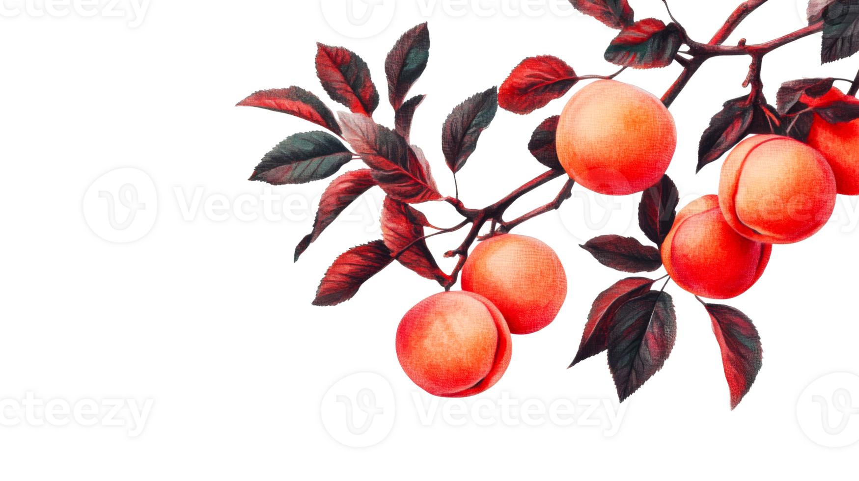 Plum tree branch, juicy fruits with red leaves, cut out transparent png