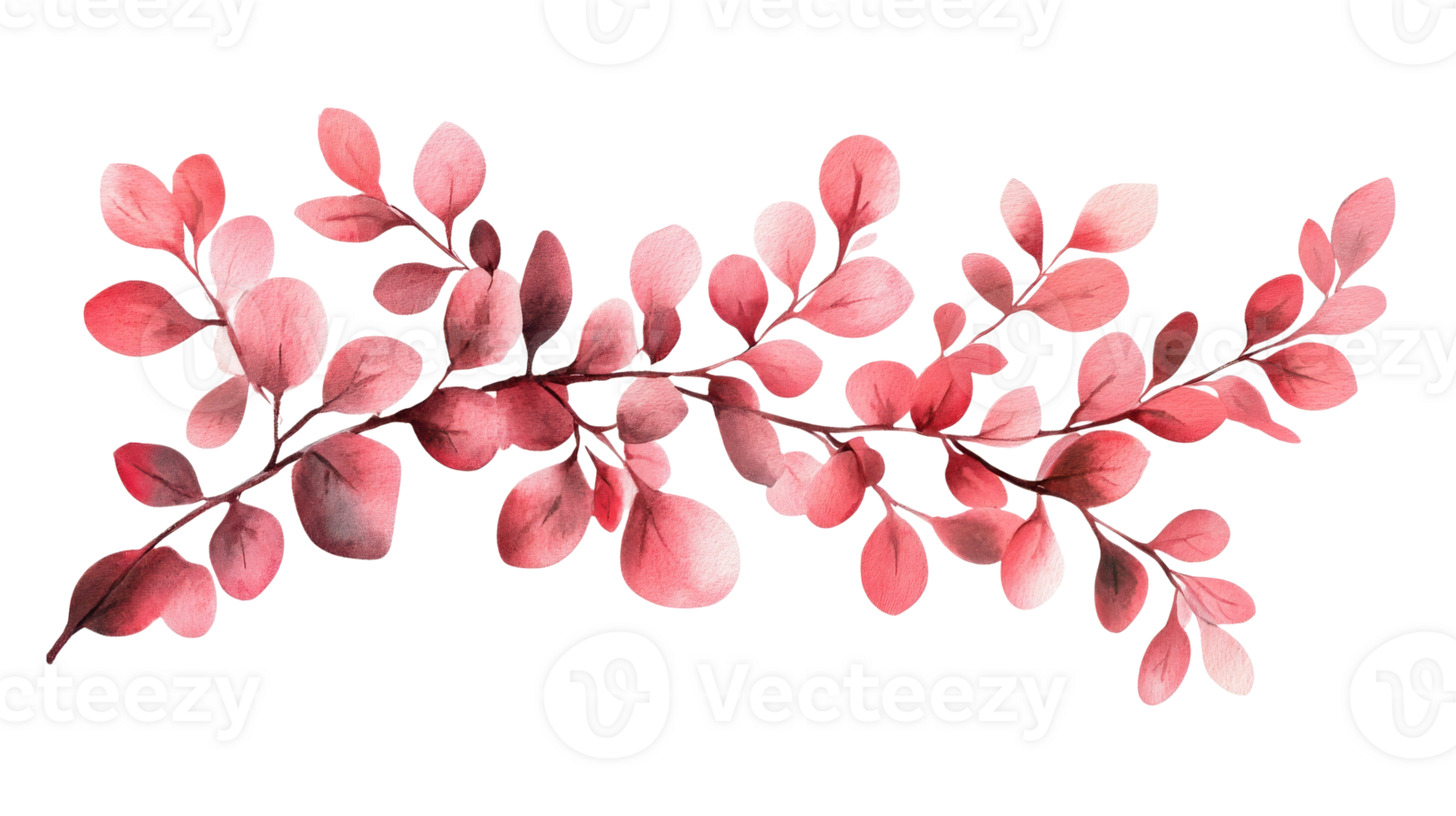 Branch with red leaves on black background, cut out transparent png