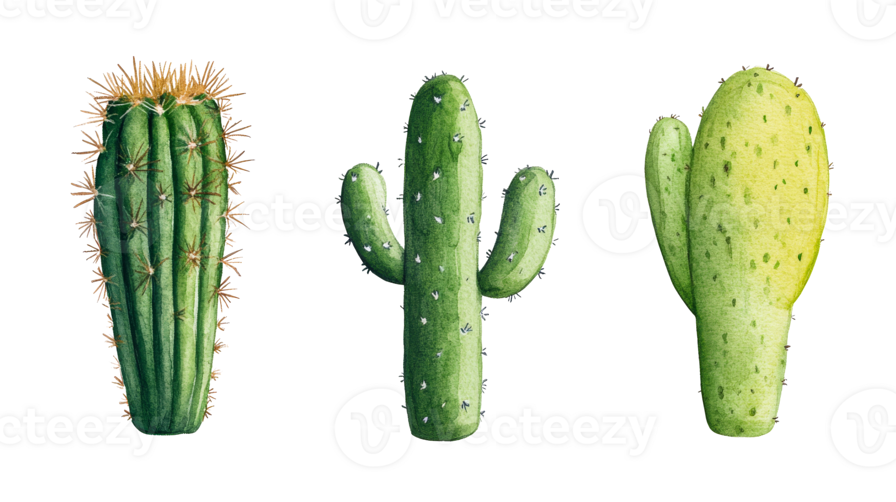 Watercolor Cacti Set against Black Backdrop, Cut Out Transparent png