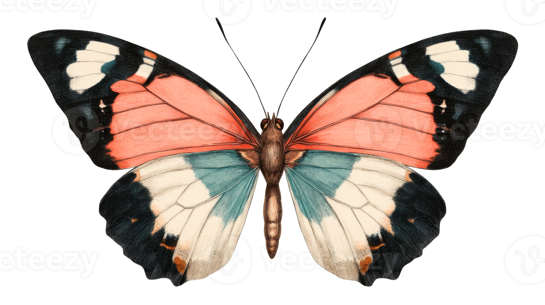 Butterfly with colorful wings, insect, isolated nature, cut out transparent png