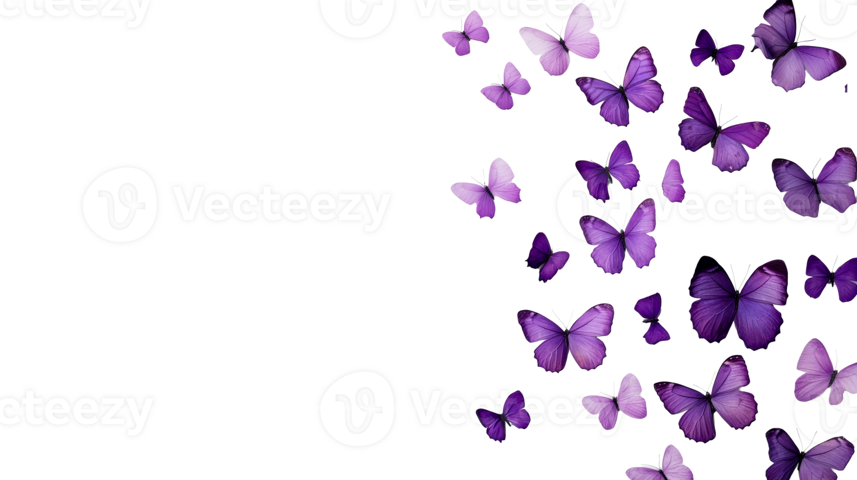 Purple butterflies swarm on black background, cut out transparent png