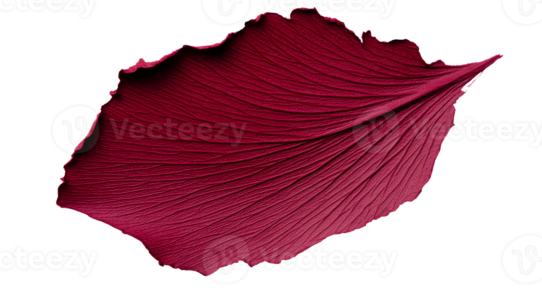 Maroon petal surface pattern texture detail background, cut out transparent png