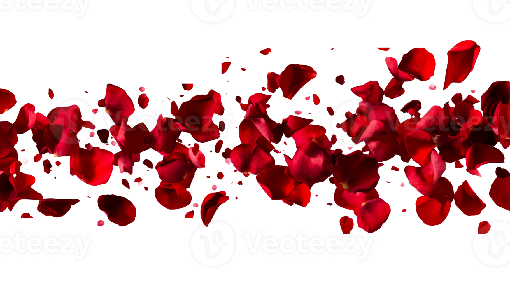 Red rose petals falling against a black backdrop , cut out transparent png
