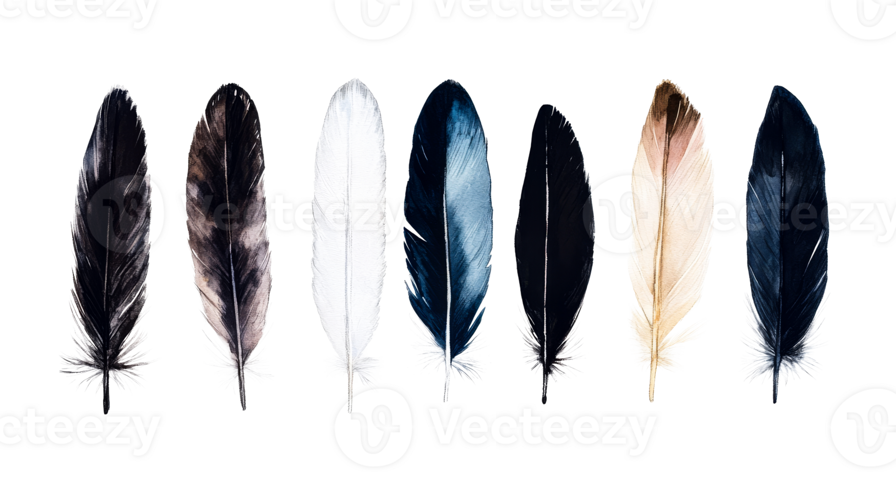 Feathers in Diverse Colors on Dark, Isolated Background , cut out transparent png