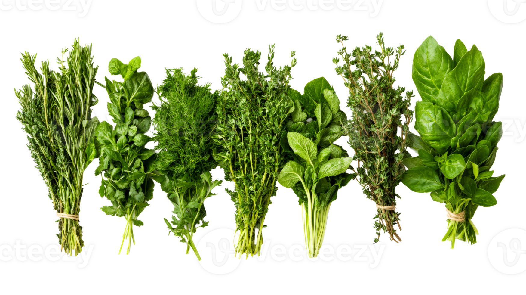 Assorted herbs isolated on black background, cut out transparent png