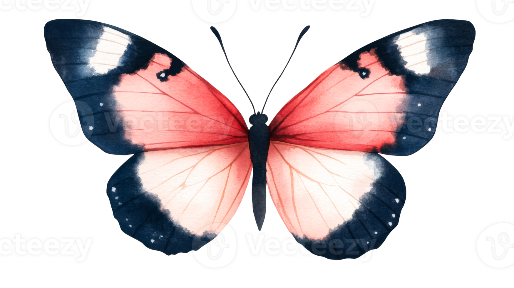 Butterfly watercolor painting, elegant insect with colorful wings, cut out transparent png