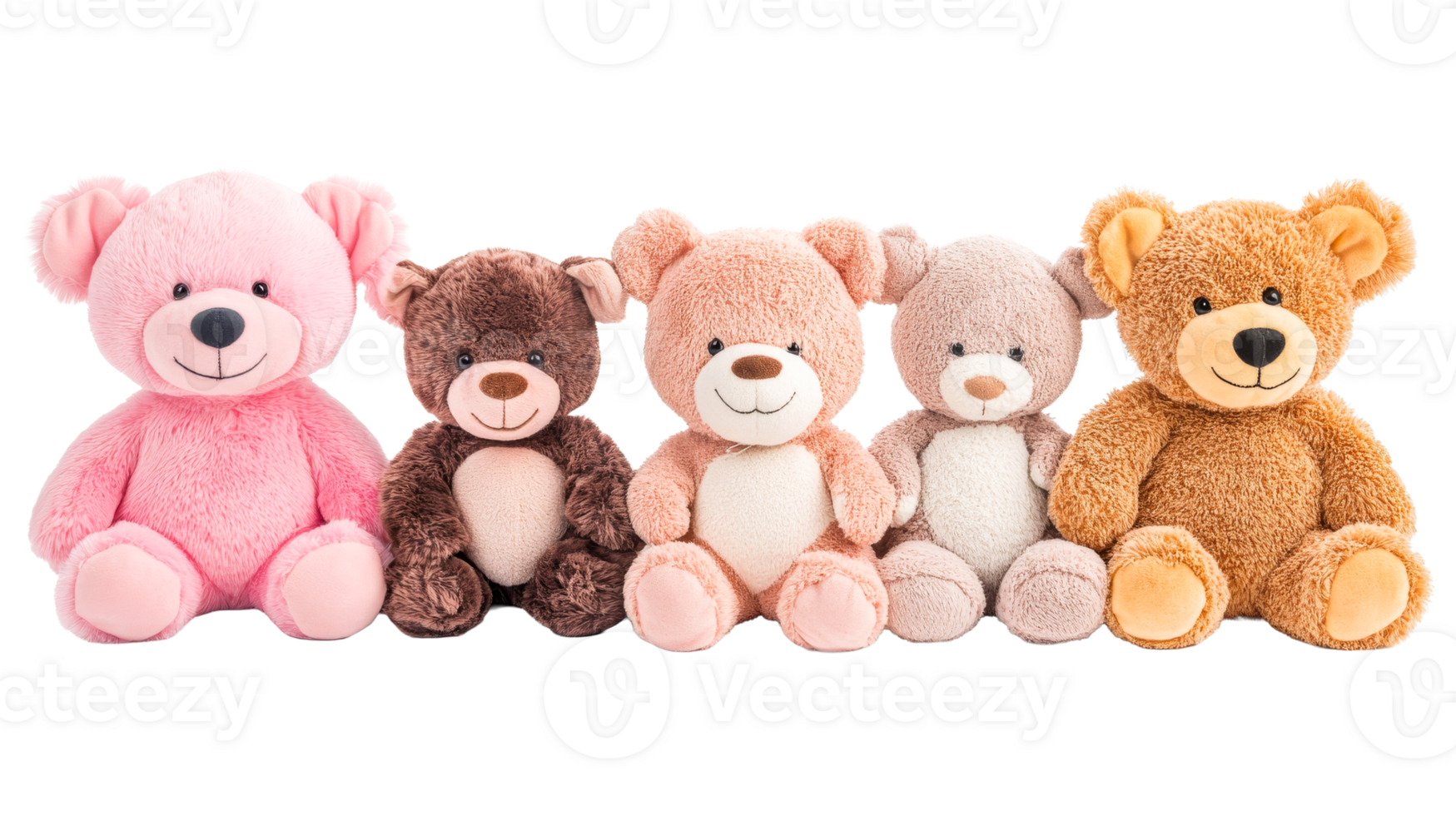 Row of soft plush teddy bears in various colors, cut out transparent png