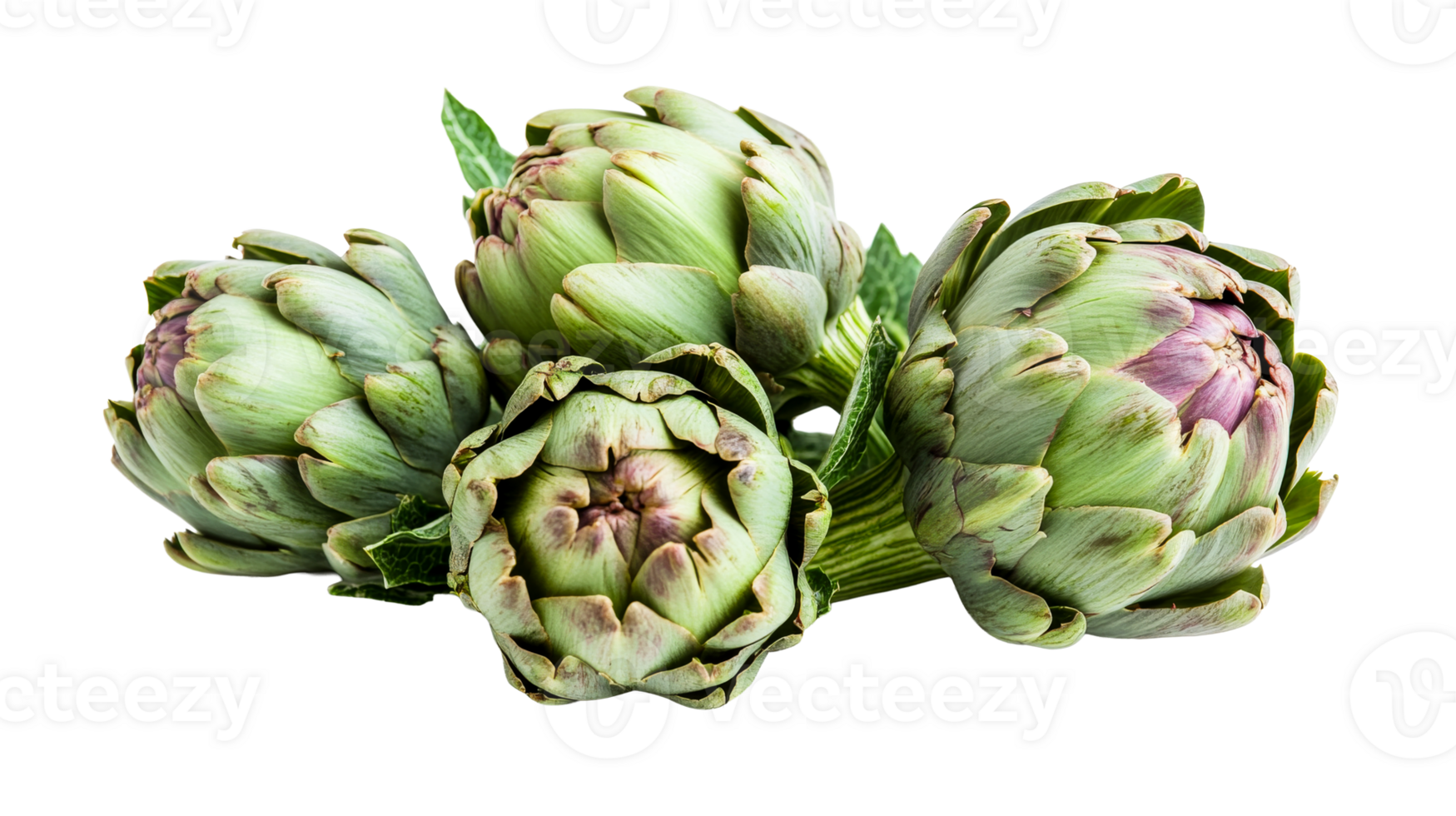 Artichokes Still Life, Close-up of Green Fresh Vegetables, cut out transparent png