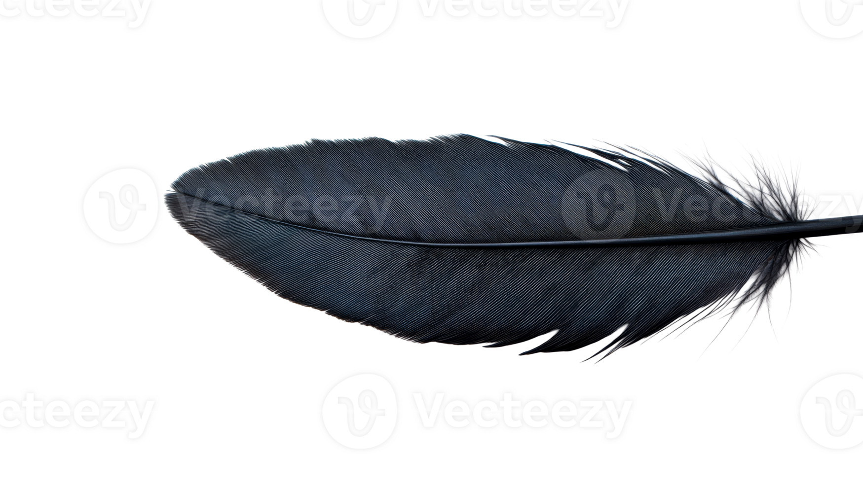 Feather on Black Background, Isolated Feather , cut out transparent png
