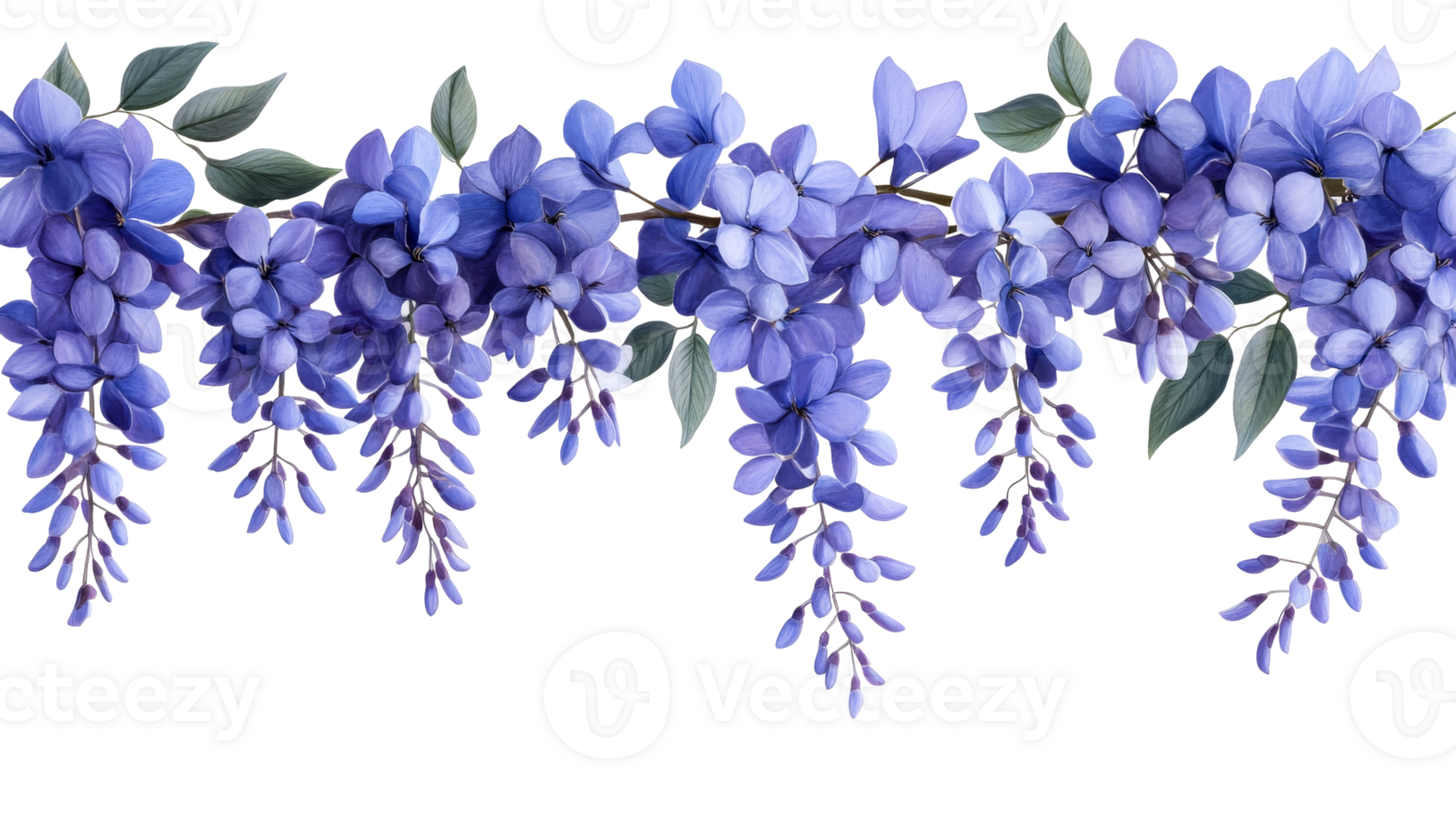 Watercolor wisteria bloom with elegant floral arrangement, cut out transparent png