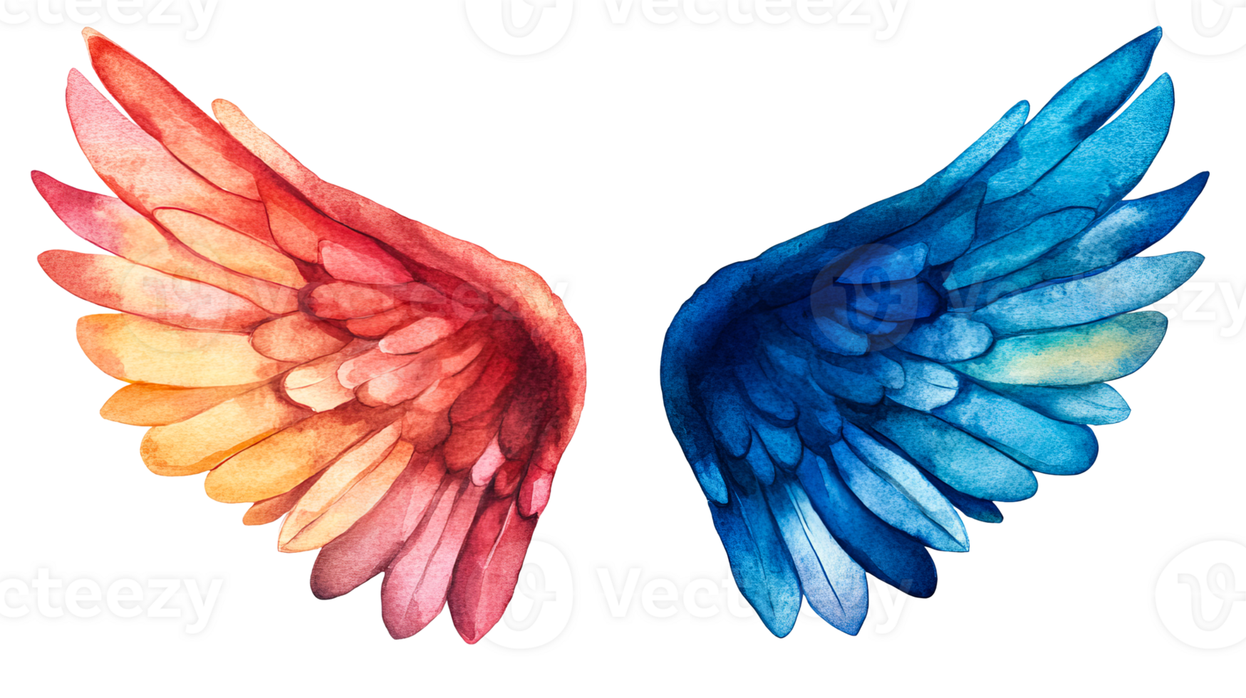 Watercolor wings, different colors, freedom concept , cut out transparent png
