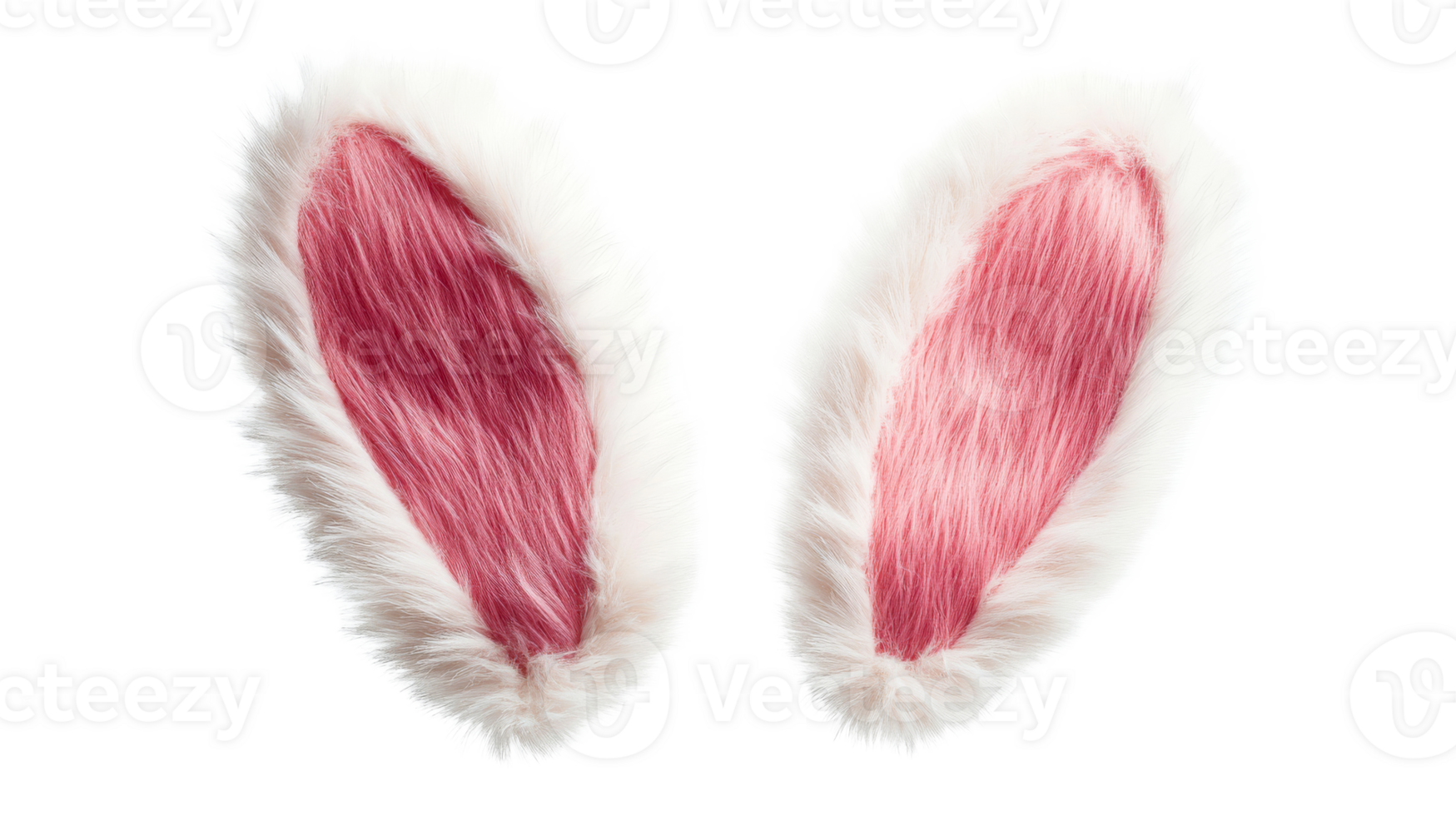 Fluffy pink and white rabbit ears for Easter, cut out transparent png