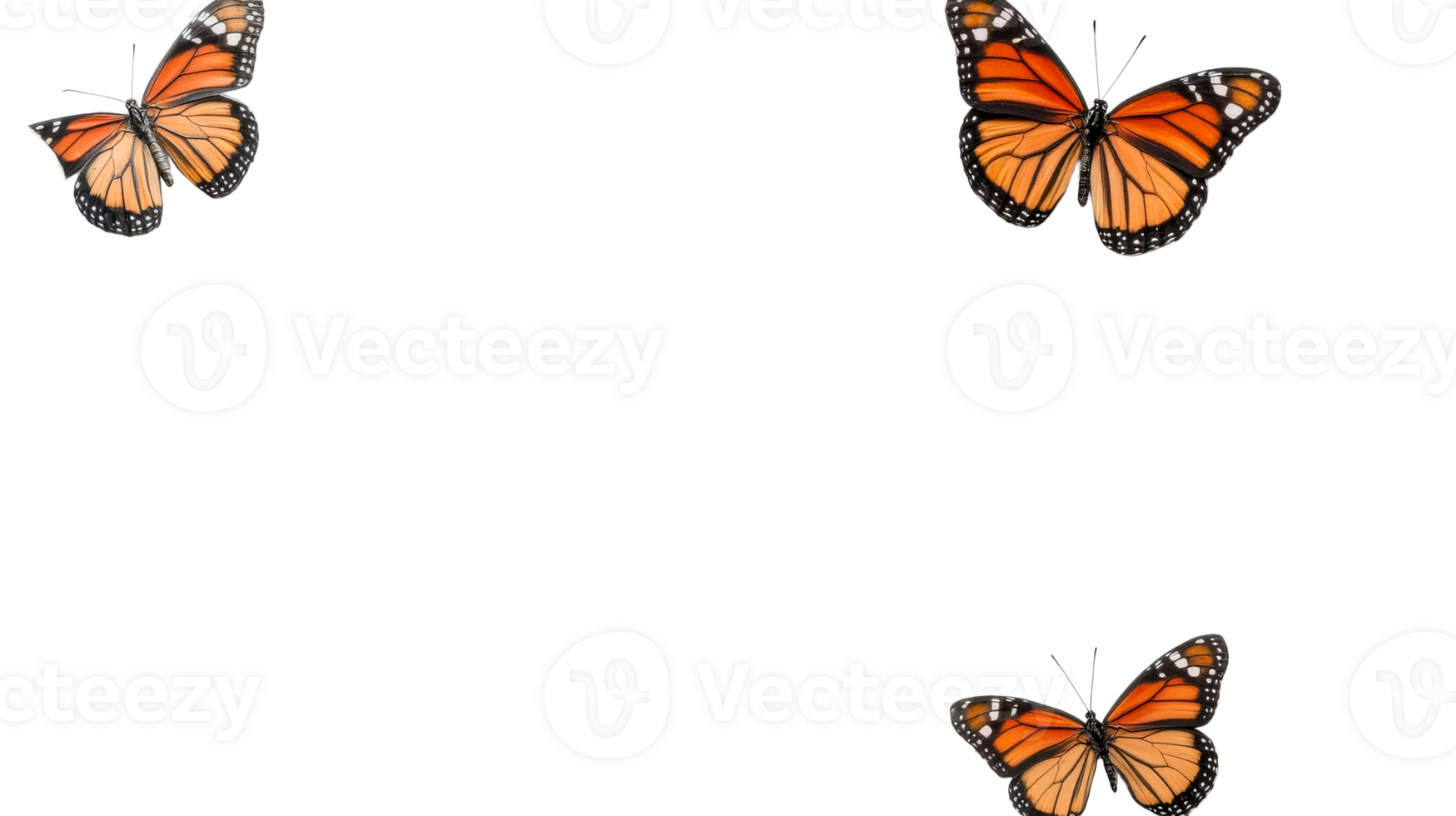 Three monarch butterflies fluttering on black backdrop, cut out transparent png