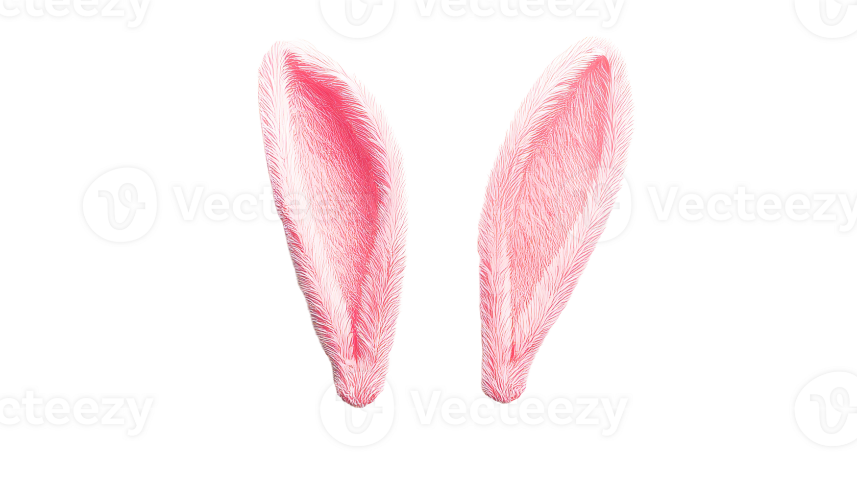 Pink rabbit ears isolated on a black background, cut out transparent png