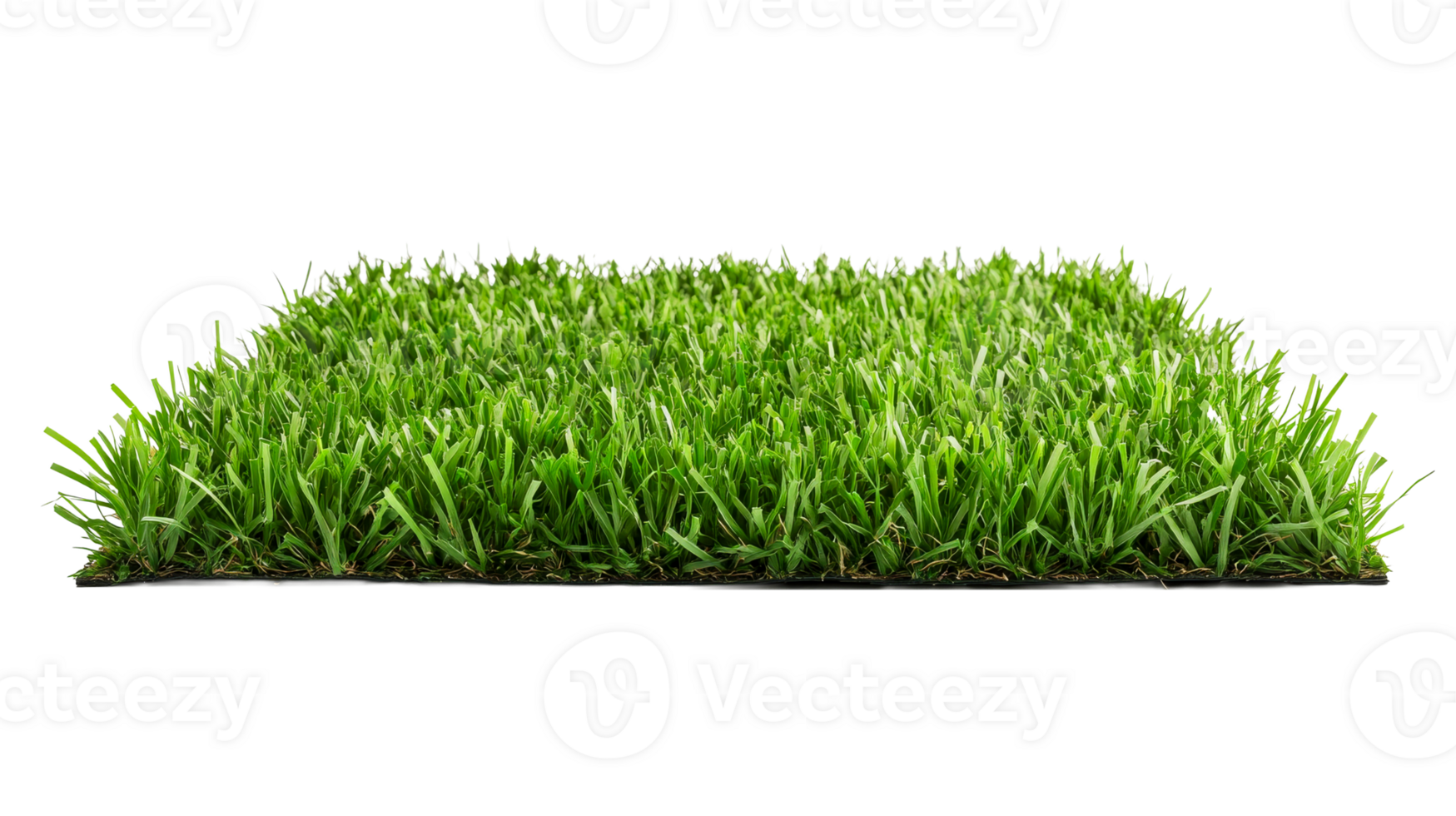 Artificial grass closeup on black, cut out transparent png