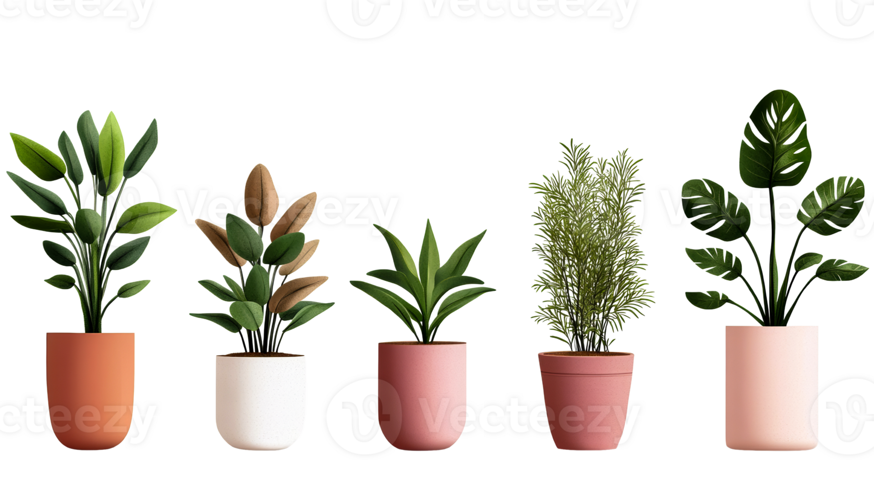 Five indoor plants in colorful pots, cut out transparent png
