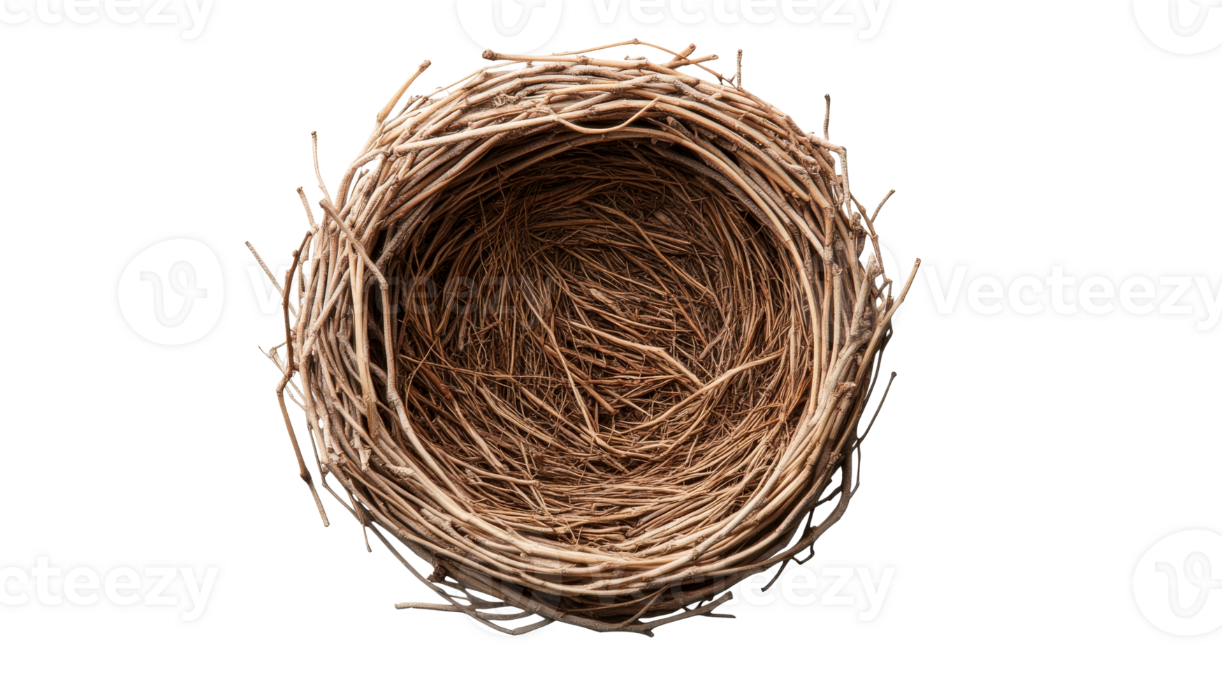Bird nest woven from dry branches closeup, isolated, top view, cut out transparent png