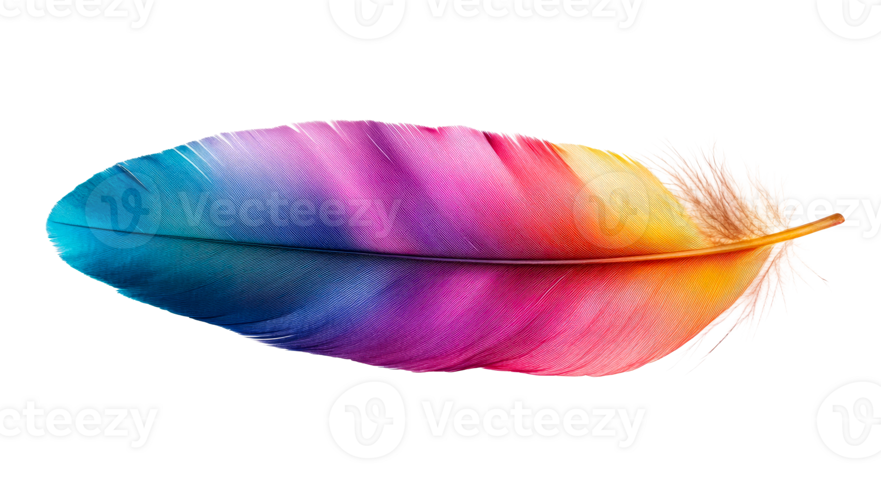 Vibrant feather, iridescent plume, colorful, isolated object, lightness, cut out transparent png