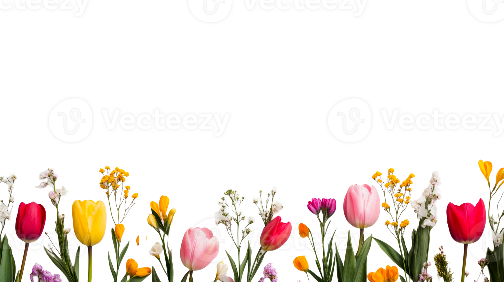Diverse spring flowers in row on black backdrop, cut out transparent png