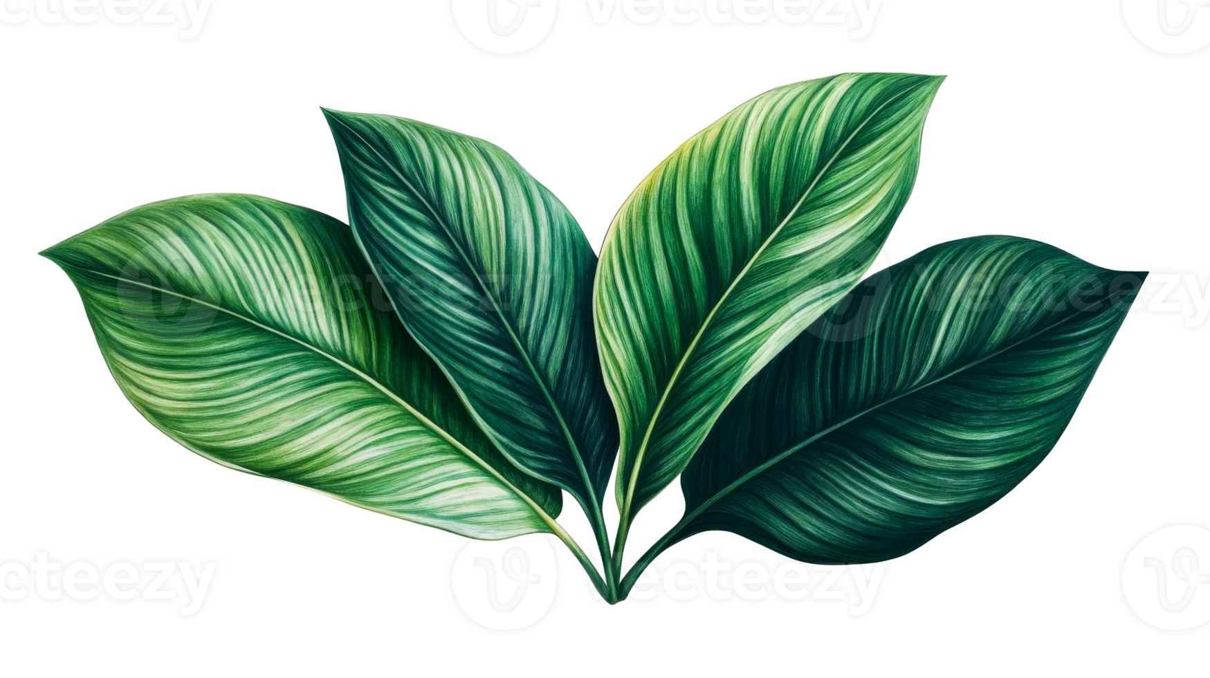 Vibrant green tropical leaves, botanical design element, cut out transparent png