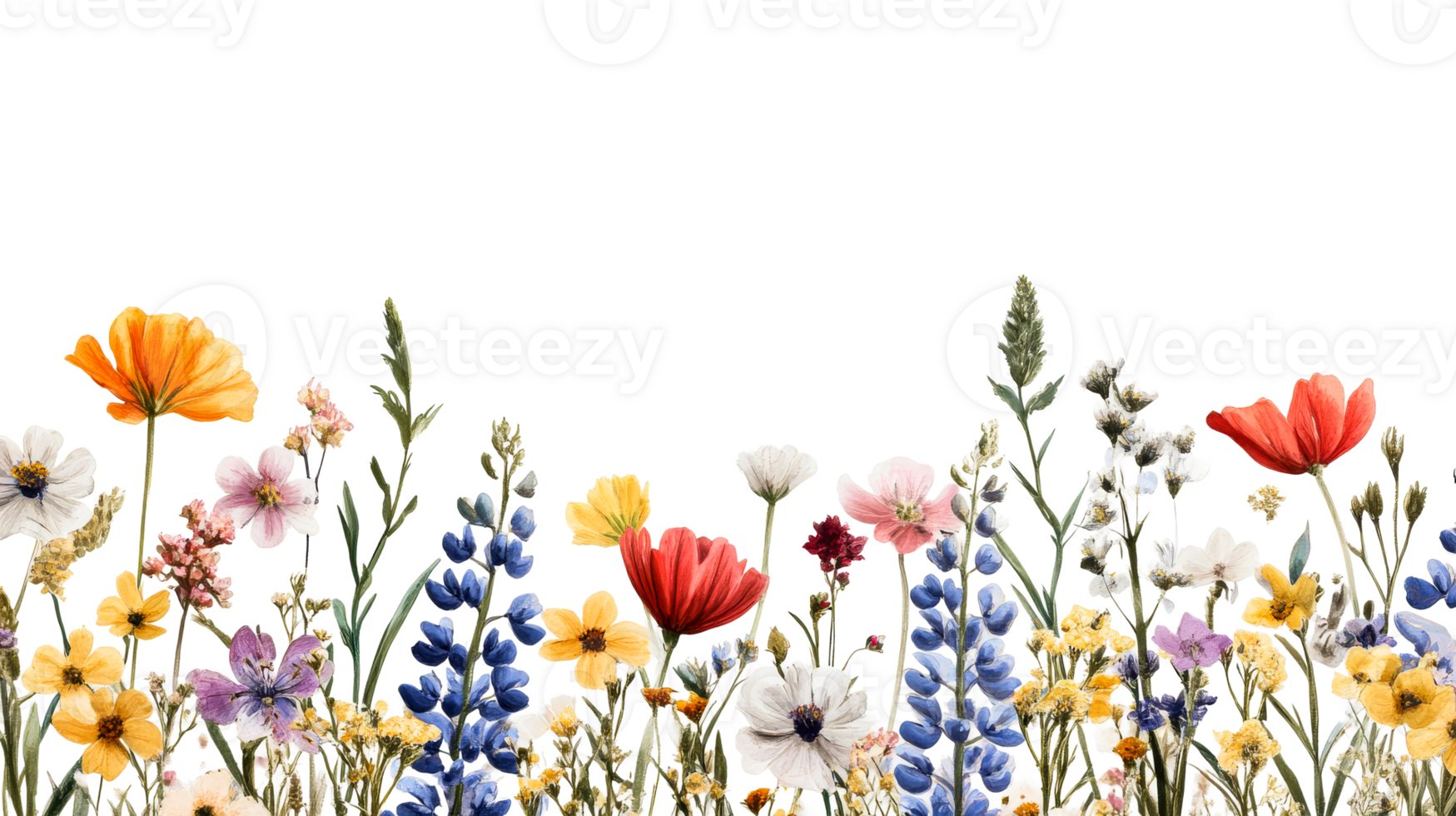 Wildflower border featuring colorful blooms against black backdrop, cut out transparent png
