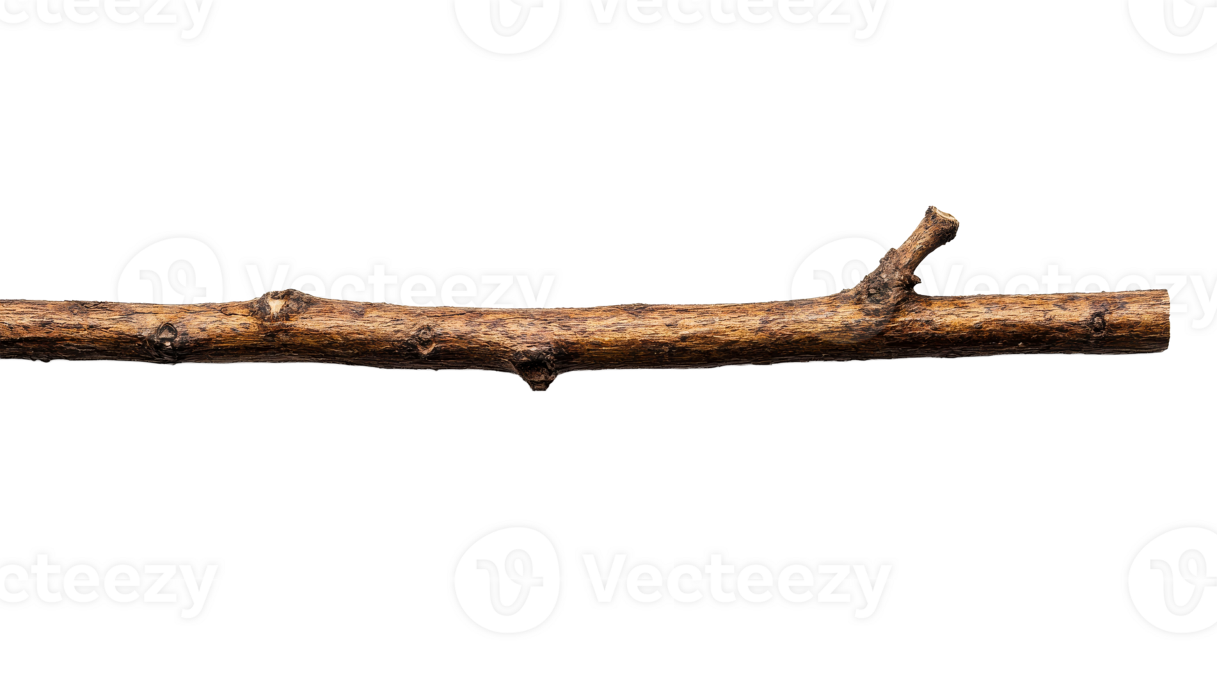 Natural twig, brown wood, forest material, decorative element, cut out transparent png