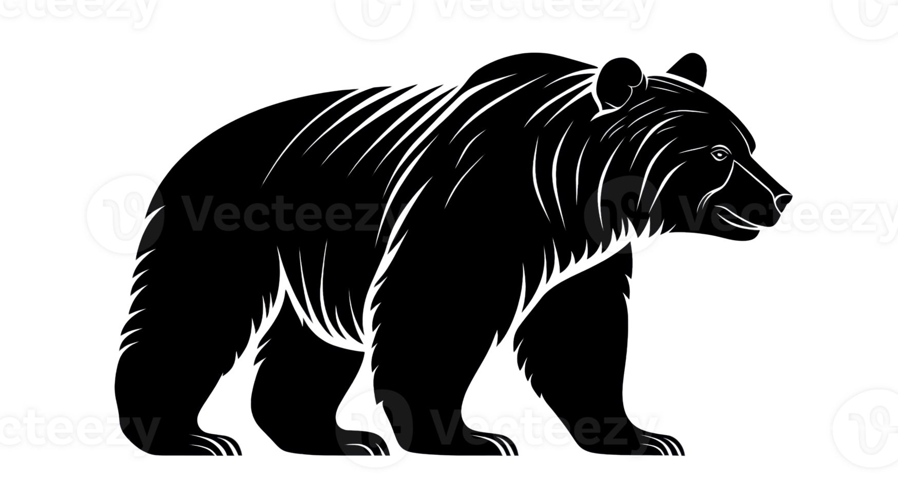Black silhouette of a bear with a transparent background png