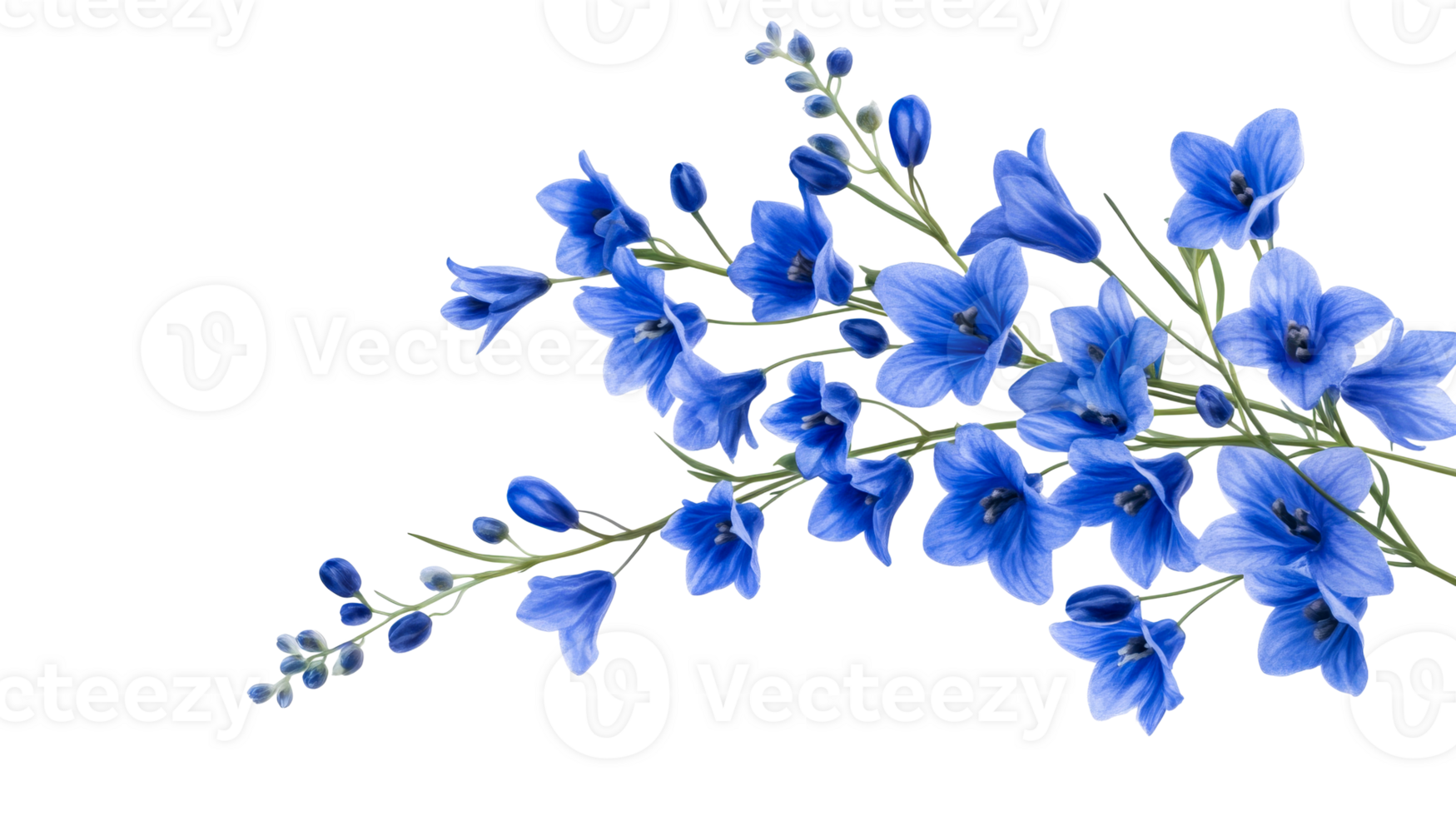 Blue Delphinium Flowers Bloom Elegance, Blossom Beauty, cut out transparent png