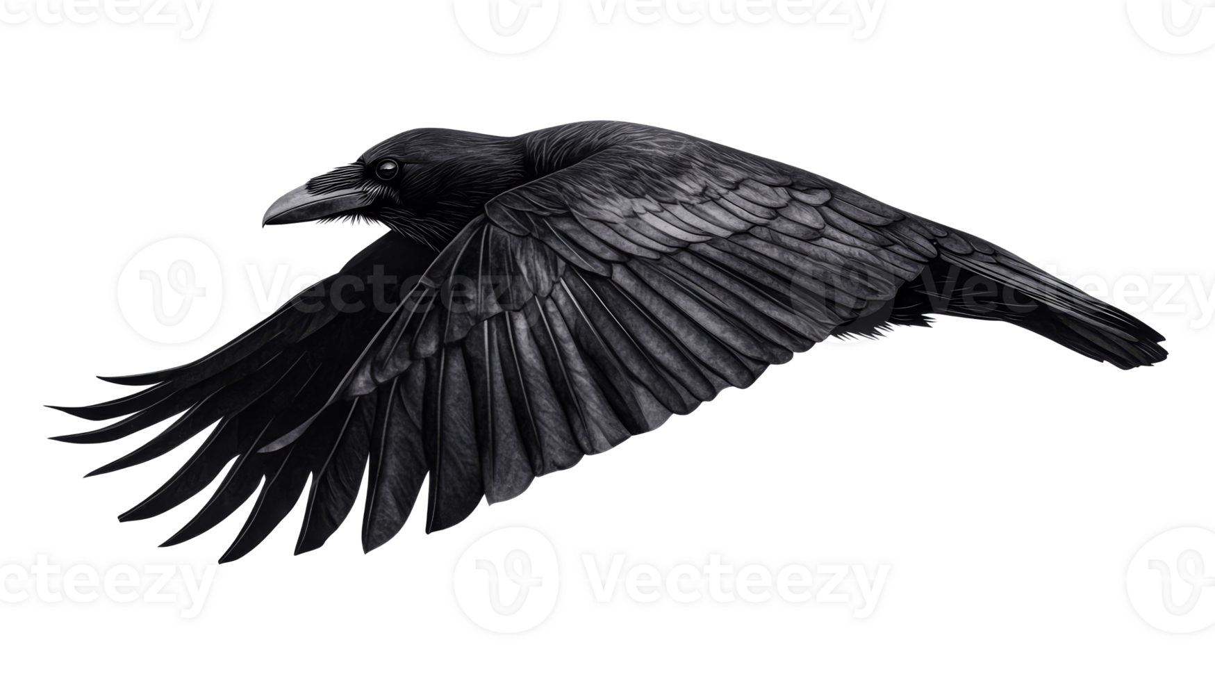 Raven in flight, black bird flapping wings, dark illustration, cut out transparent png