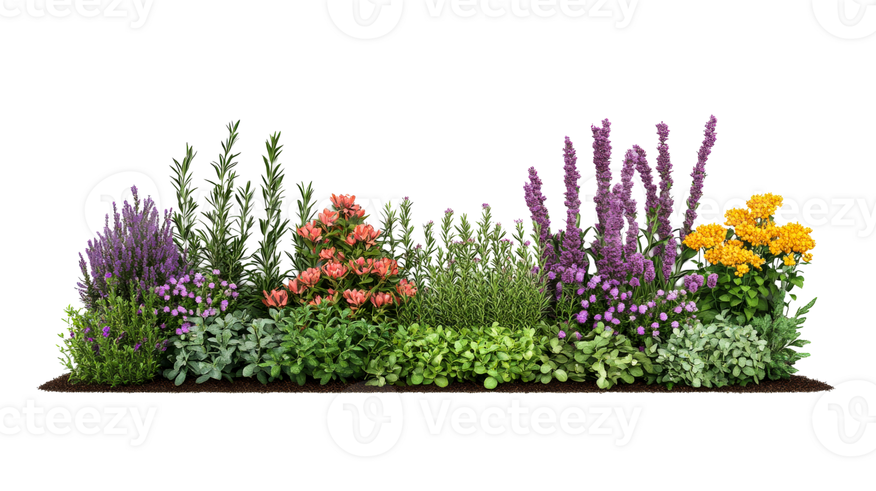 Colorful flowerbed with diverse plants and flowers, cut out transparent png