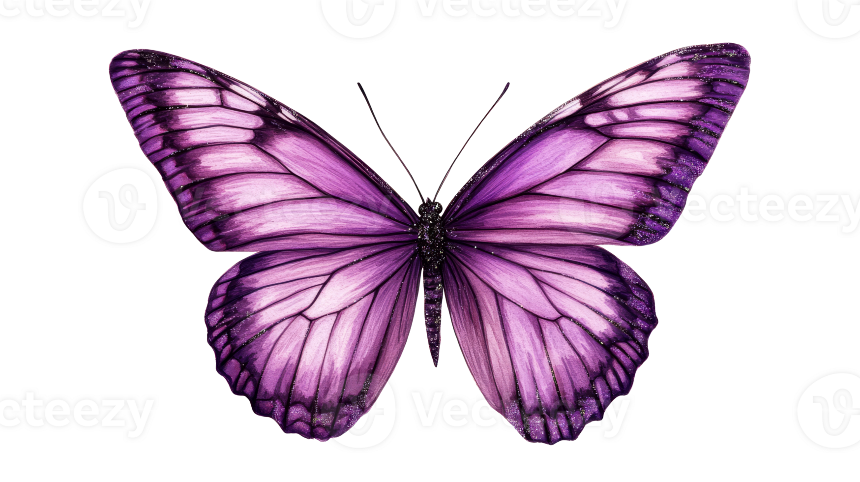 Isolated purple butterfly with sparkling wings detail, cut out transparent png