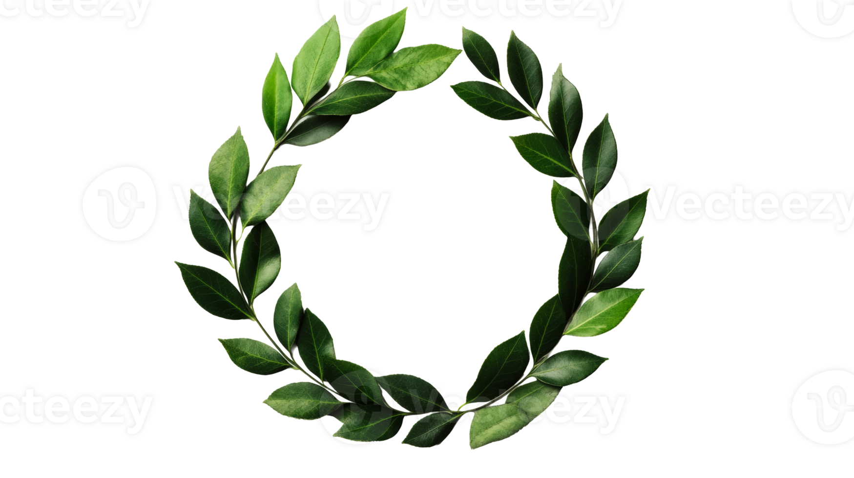 Decorative green laurel wreath, foliage arrangement, nature, cut out transparent png
