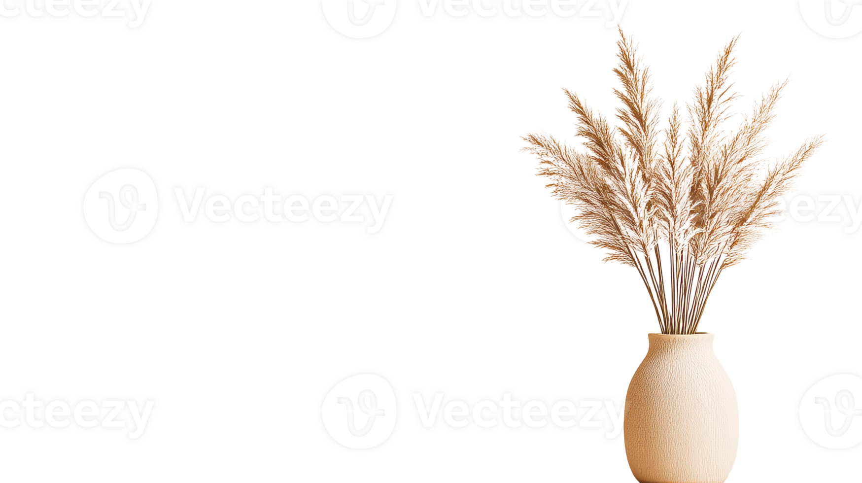 Vase with decorative reeds isolated on background, cut out transparent png