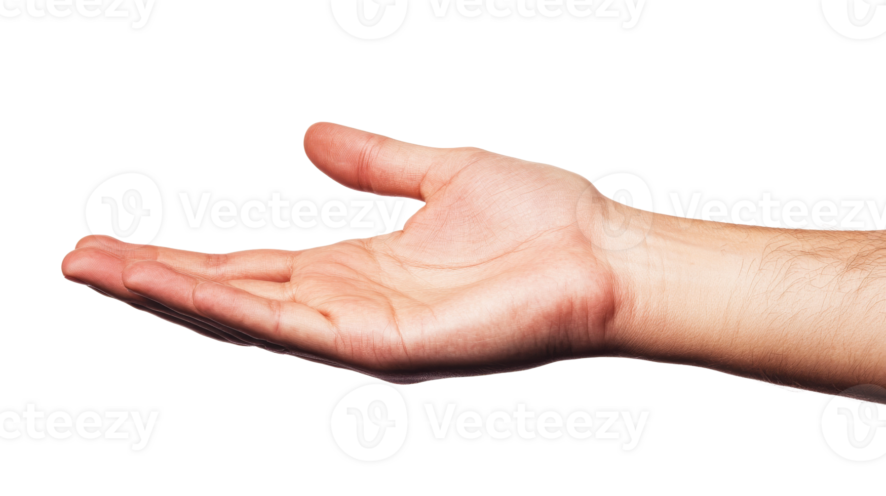 Open hand gesture offering, support, care, assistance, help, cut out transparent png