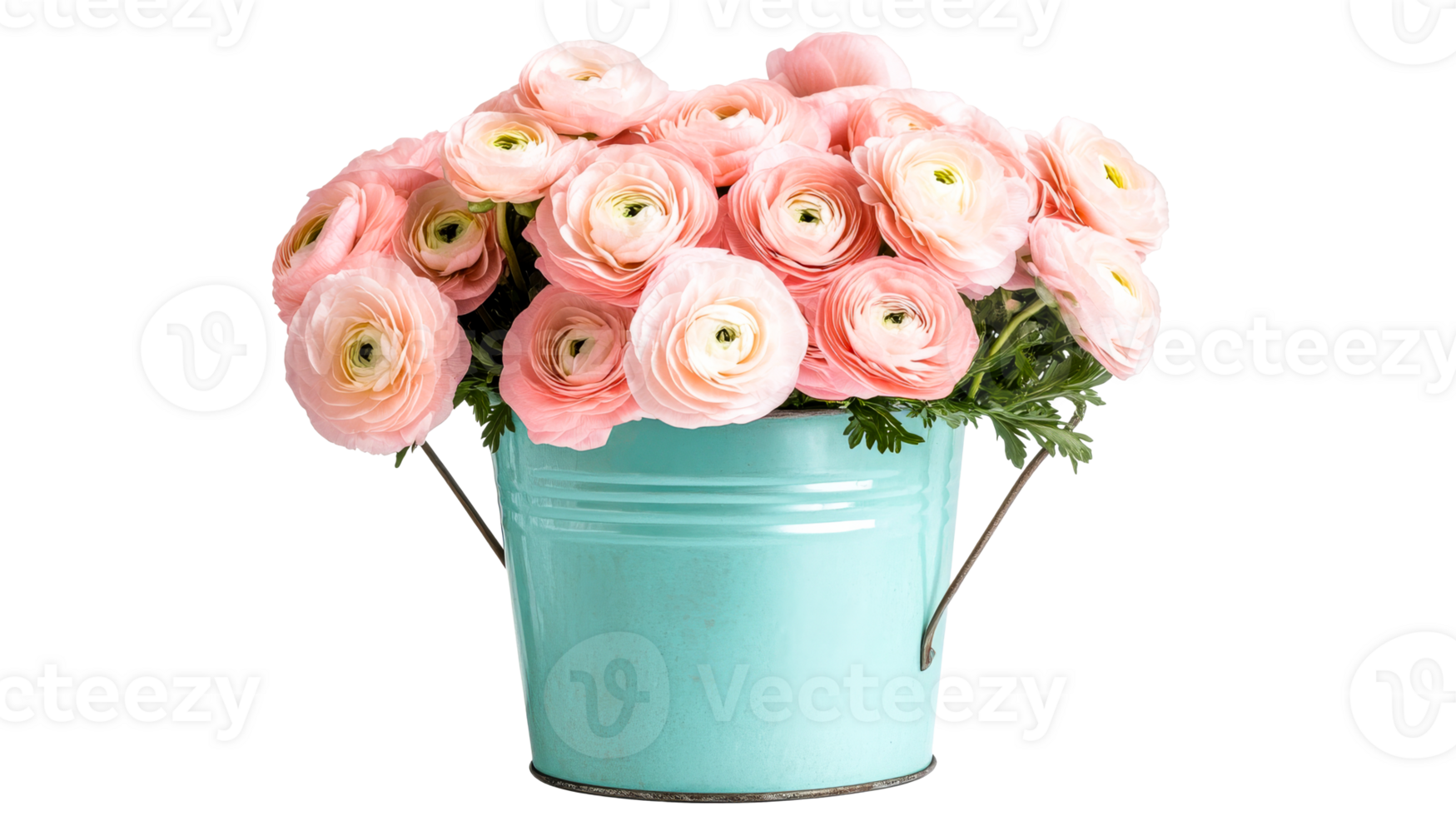 Pink ranunculus bouquet in blue bucket, cut out transparent png