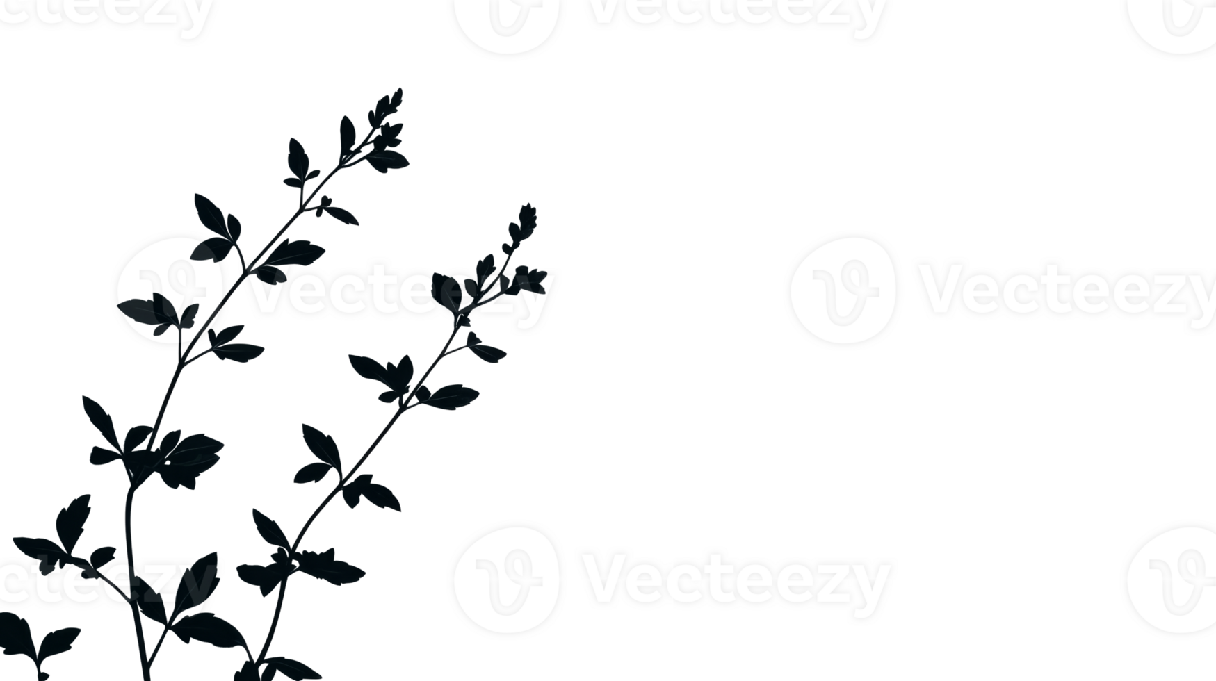 Silhouette of branches with leaves, cut out transparent png