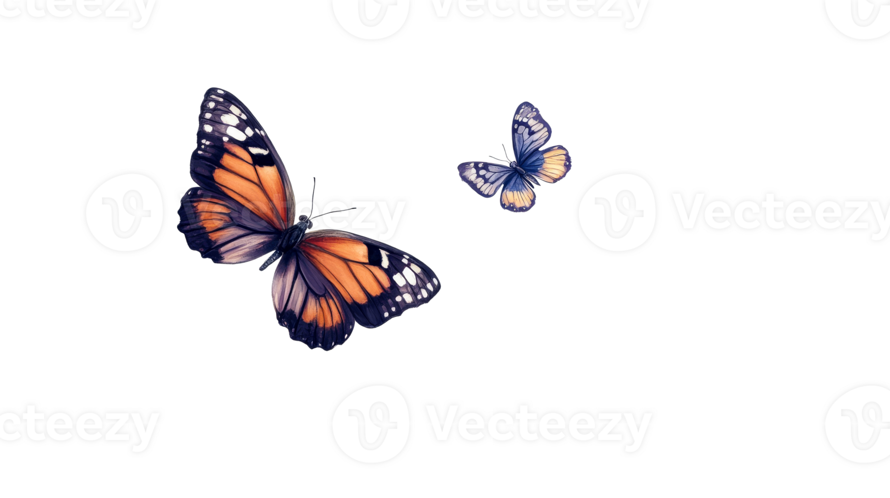 Two colorful butterflies in dark background, cut out transparent png