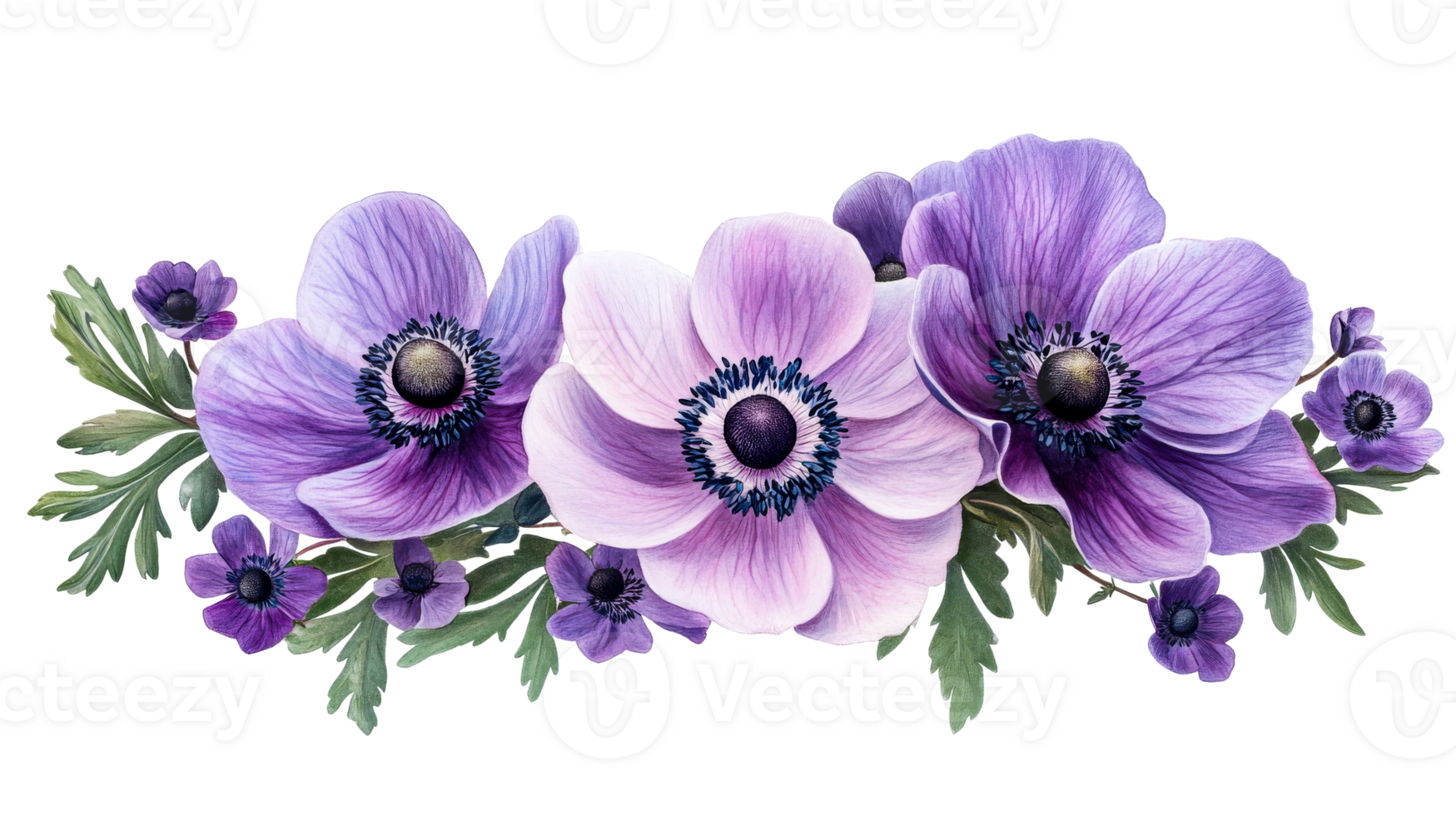 Lilac Anemone Flower Arrangement on Black Background, cut out transparent png