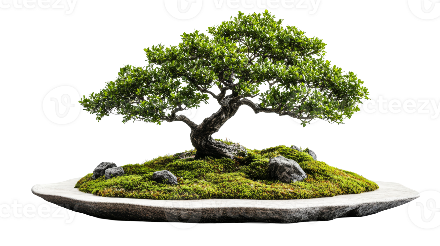 Bonsai tree with moss and rocks on stone plate, cut out transparent png