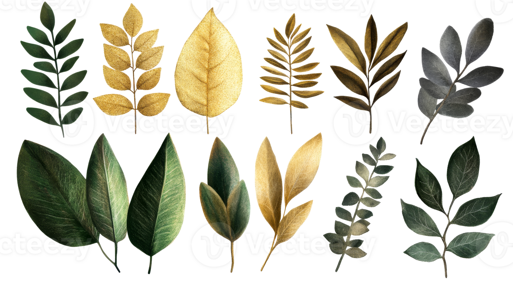 Elegant botanical leaf collection, botanical, foliage, isolated, ornate, cut out transparent png