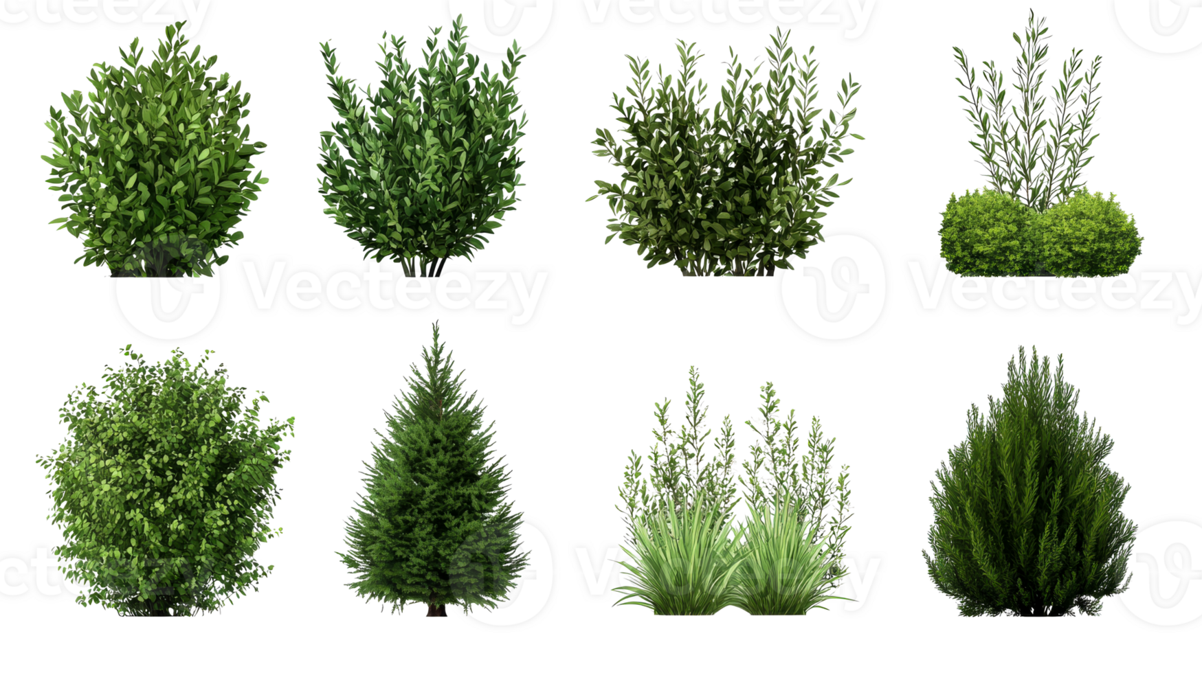 Assorted evergreen shrubbery, diverse greenery for landscaping, cut out transparent png