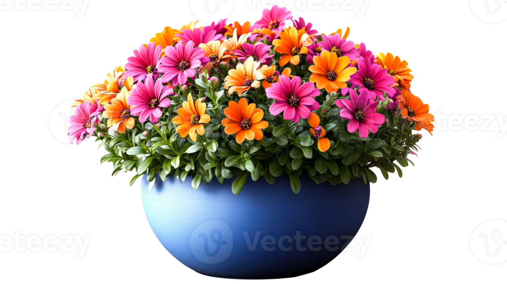 Colorful flowers in blue pot with black background, cut out transparent png